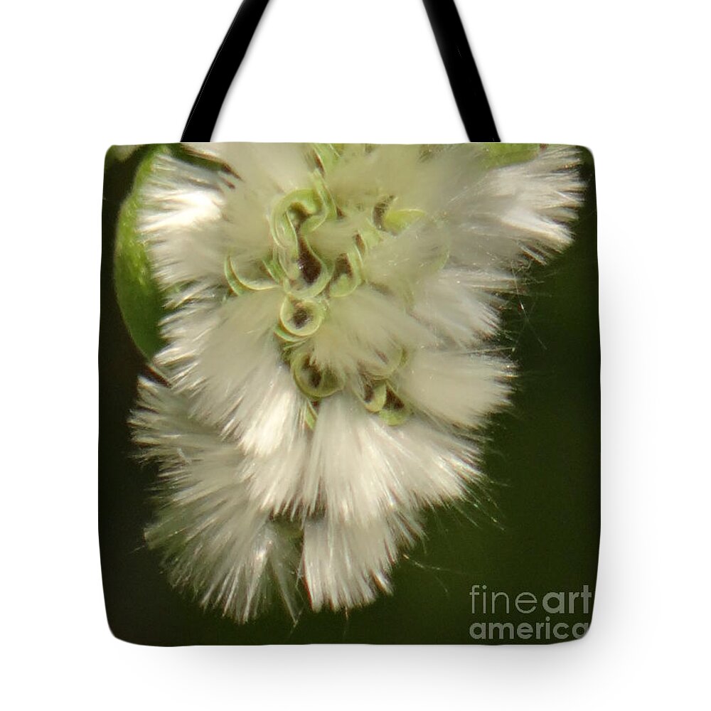 Spring Tote Bag featuring the photograph Welcome spring by Karin Ravasio