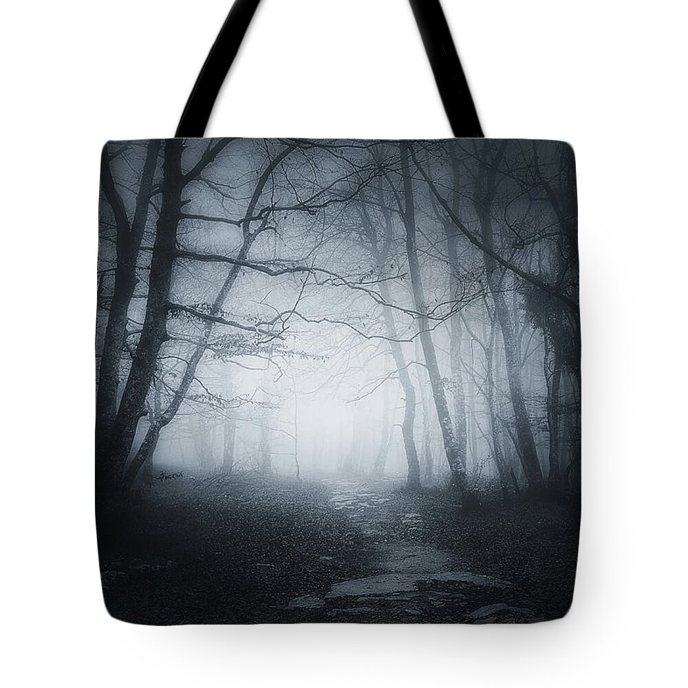 Scary Tote Bag featuring the photograph Welcome to the forest by Mikel Martinez de Osaba