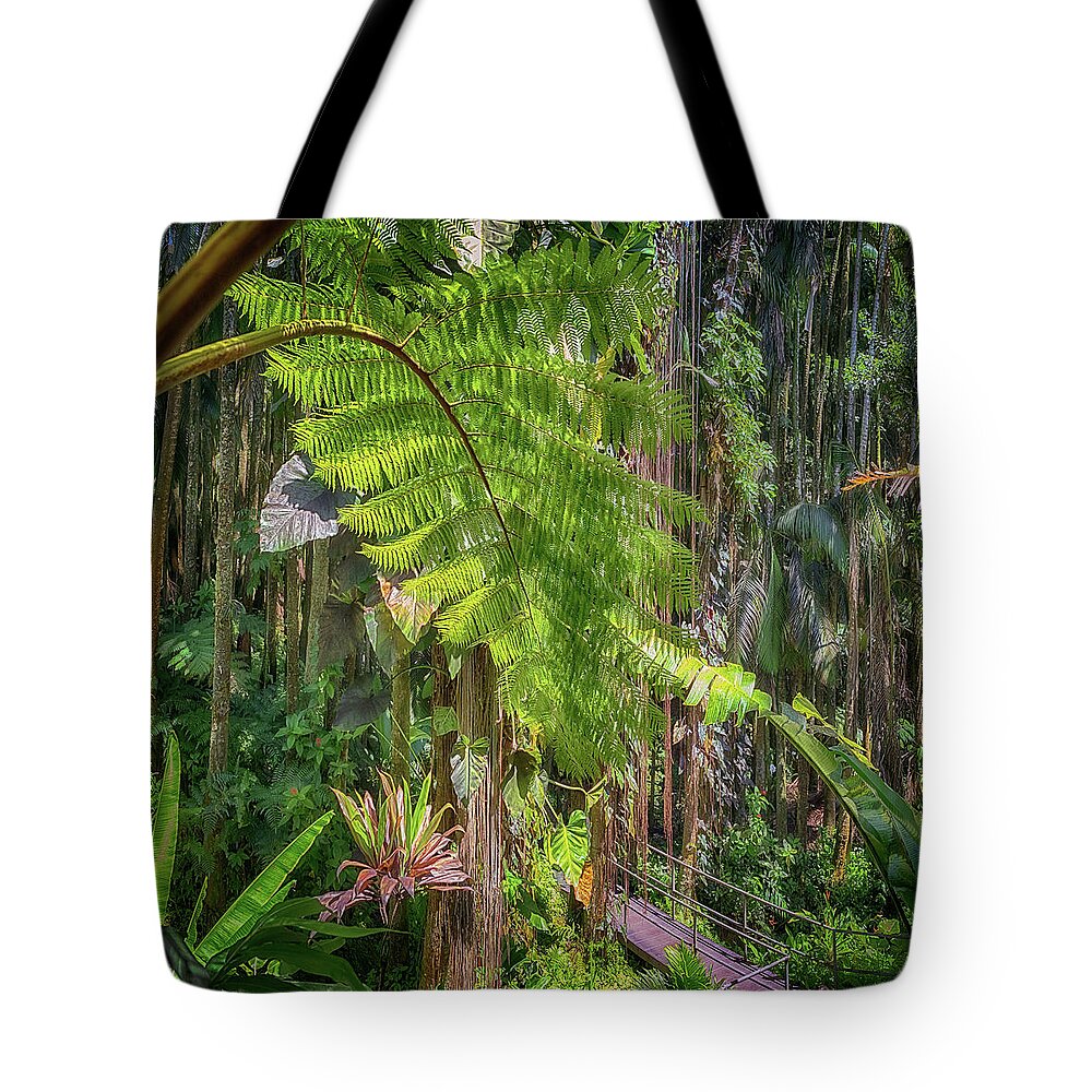 Hawaii Tropical Botanical Garden Tote Bag featuring the photograph Welcome to the Jungle 2 by Susan Rissi Tregoning