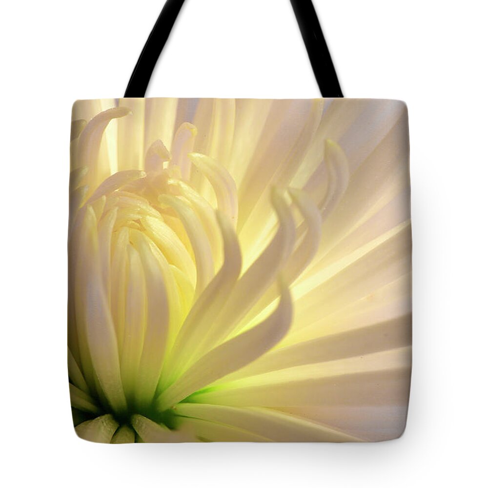 Mum Tote Bag featuring the photograph Well Lit Mum by Bob Cournoyer