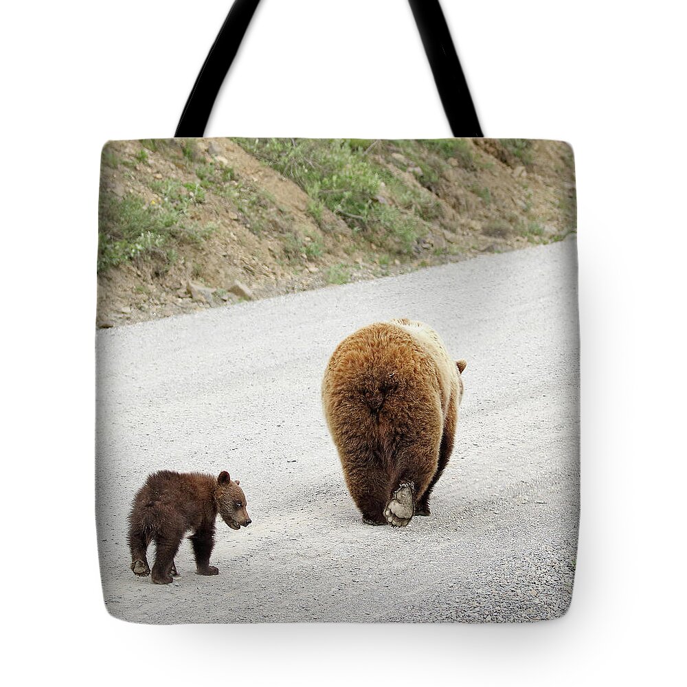Cub Tote Bag featuring the photograph We're Done Here by Jean Clark