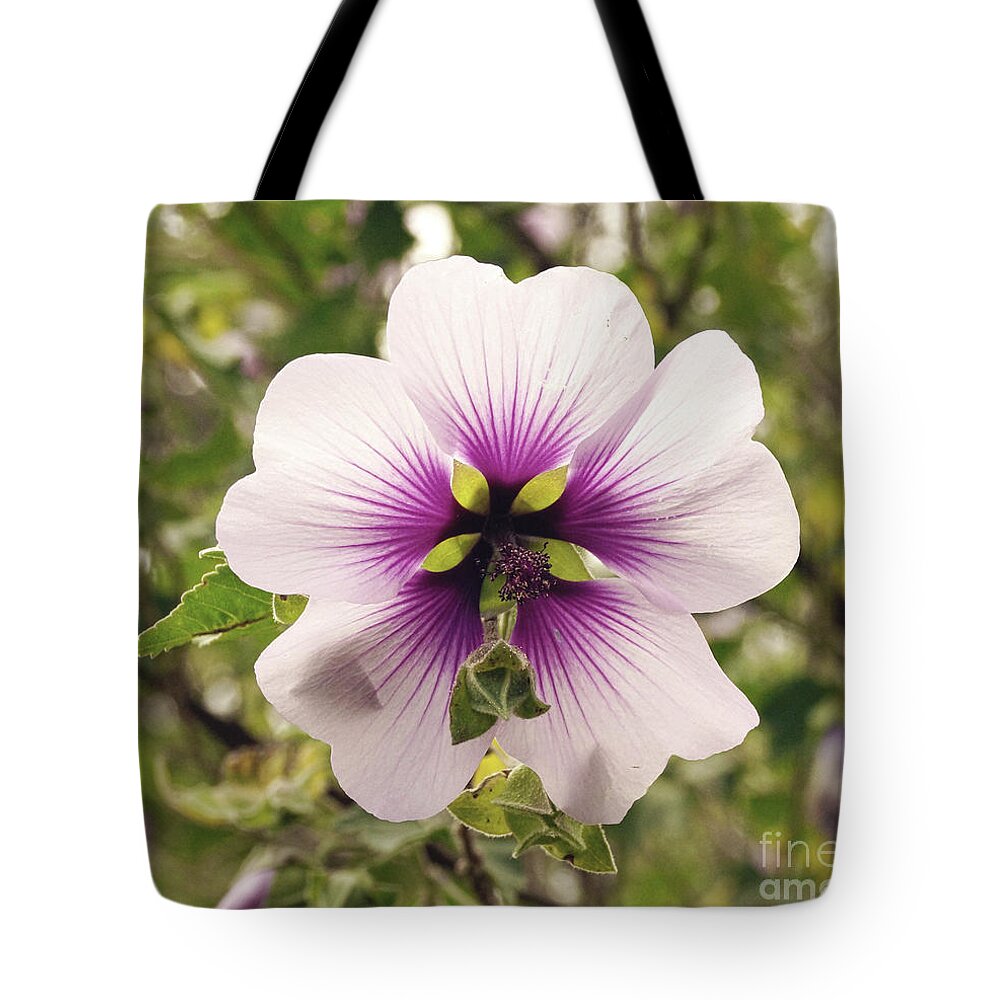 Flower Tote Bag featuring the photograph Western Australian Native Hibiscus by Cassandra Buckley