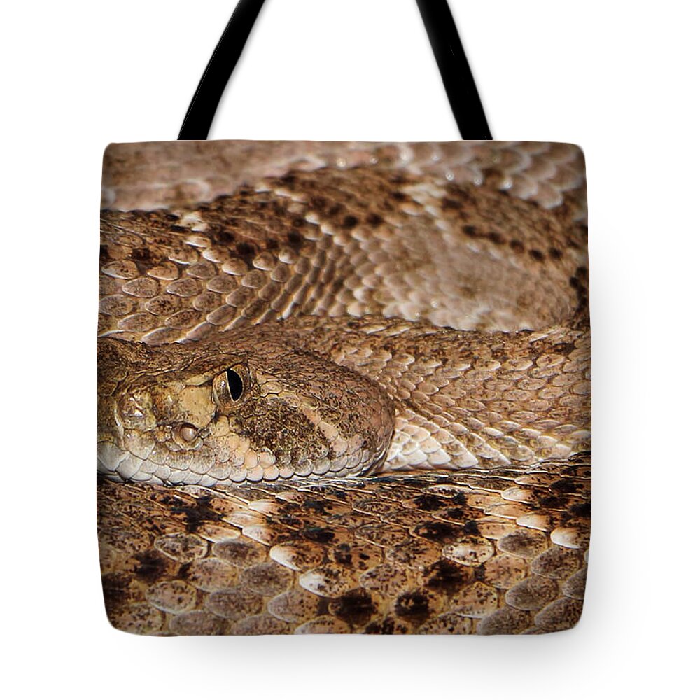 Snakes Tote Bag featuring the photograph Western Diamondback Rattlesnake Close Up by Elaine Malott