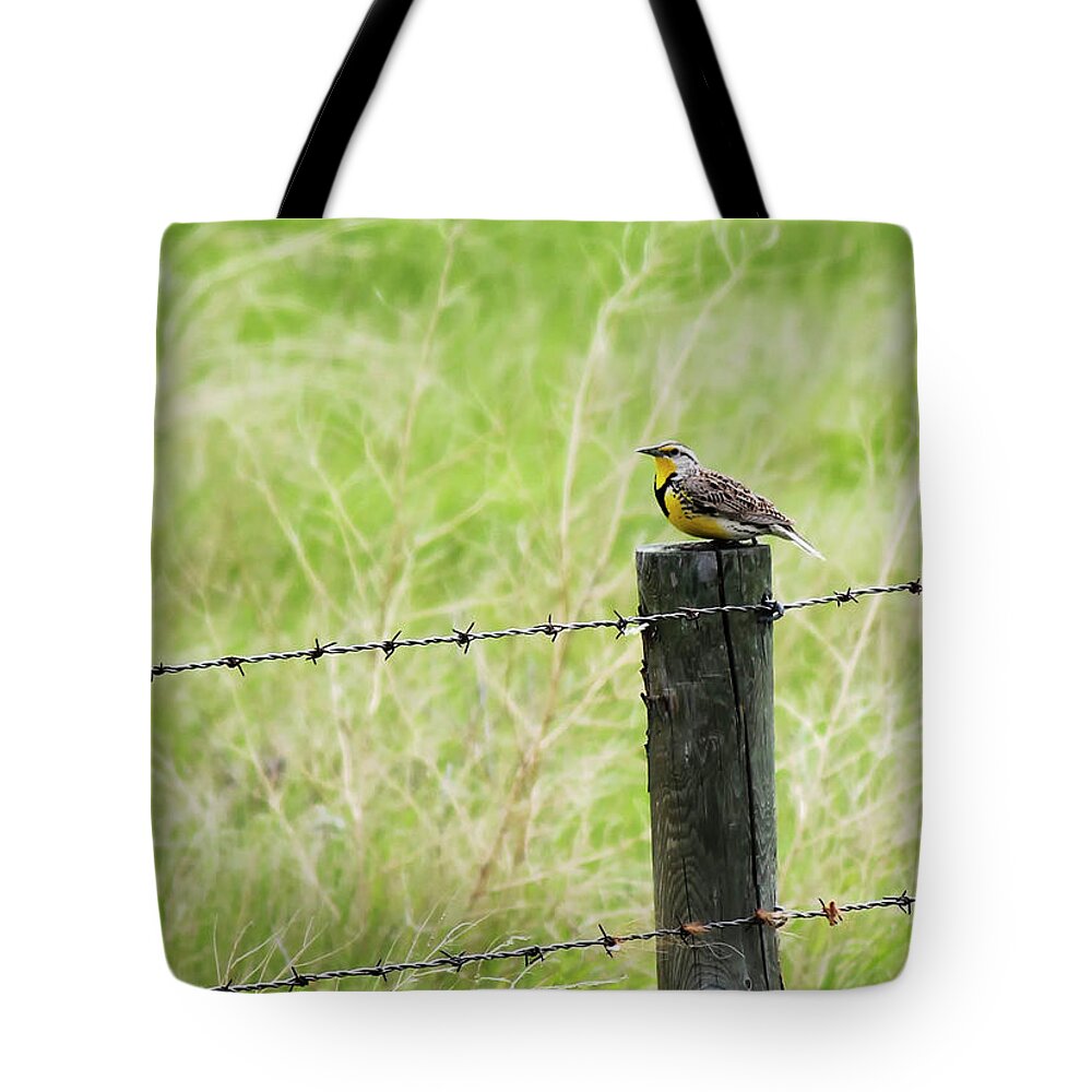 Western Meadowlark Tote Bag featuring the photograph Western Meadowlark by Ryan Crouse