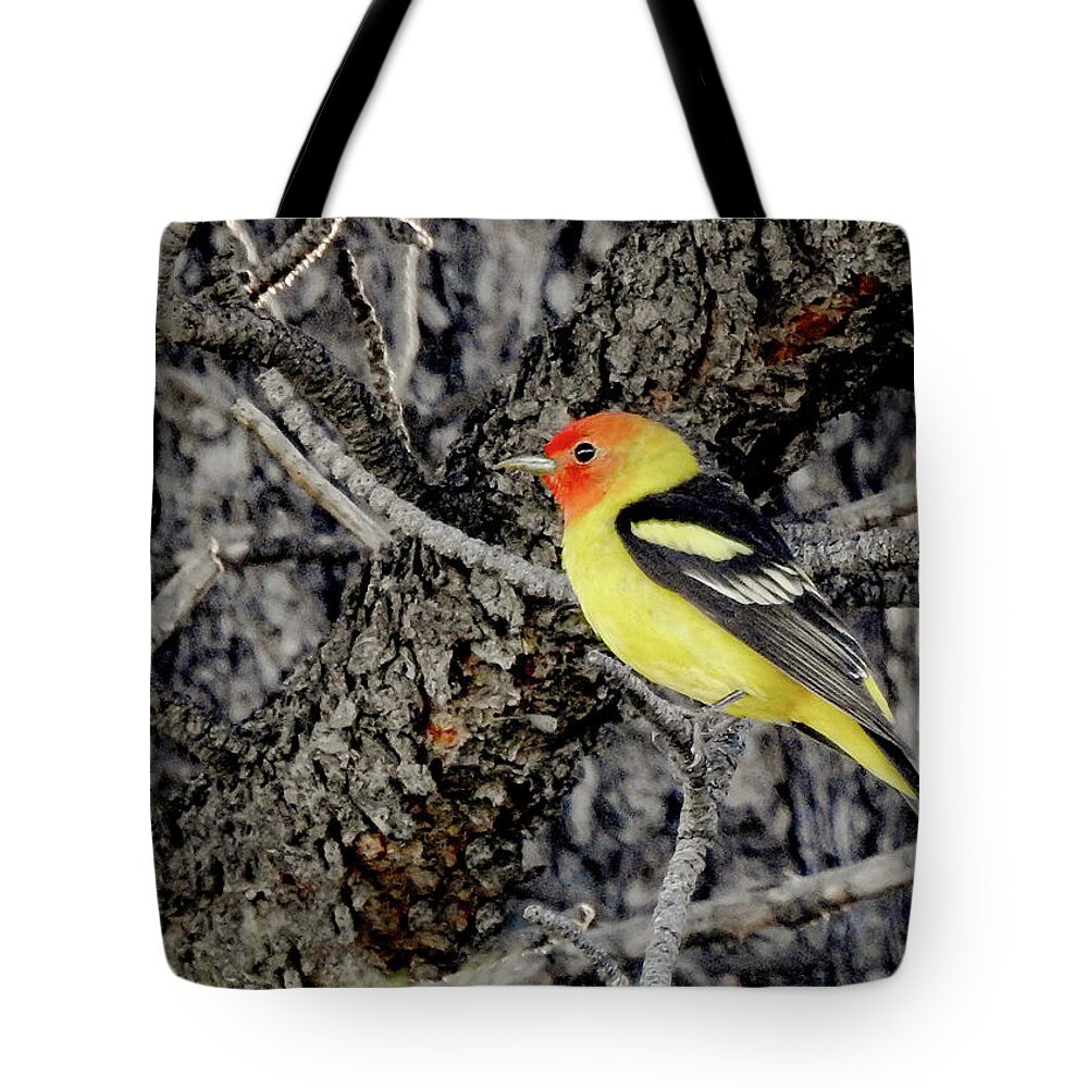 Western Tanager Tote Bag featuring the photograph Western Tanager by Dawn Key