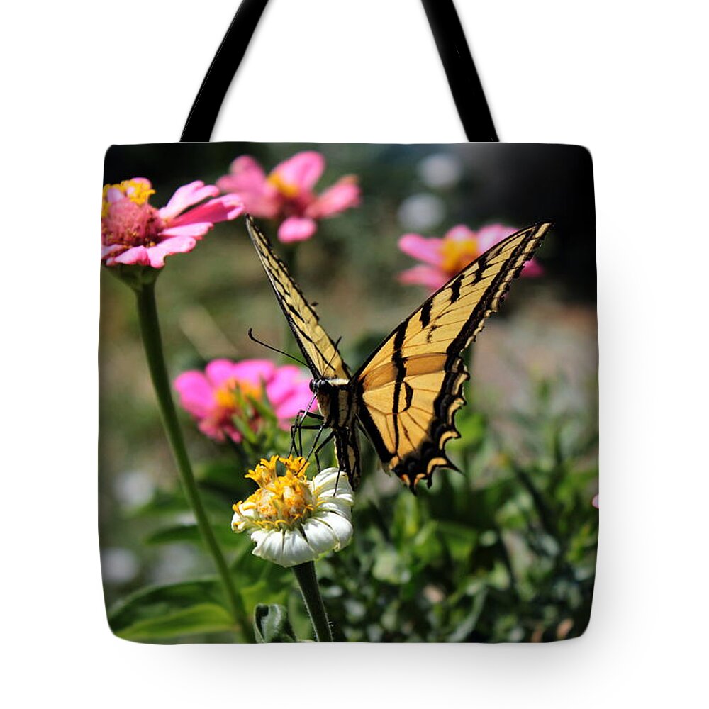Western Tiger Swallowtail Tote Bag featuring the photograph Western Tiger Swallowtail 1 by Jean Evans