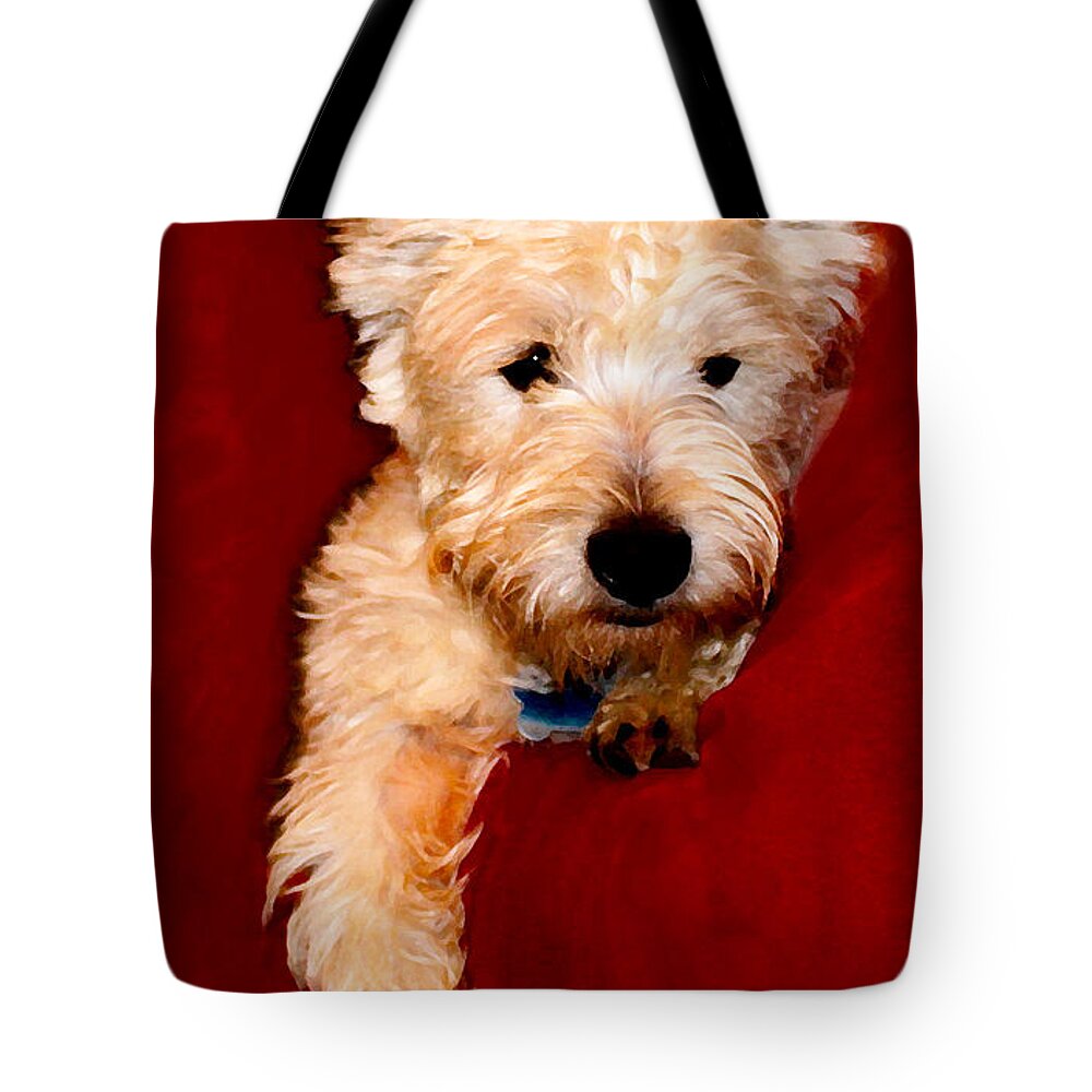 West Highland White Terrier Tote Bag featuring the photograph Westie Boy by Susan Vineyard
