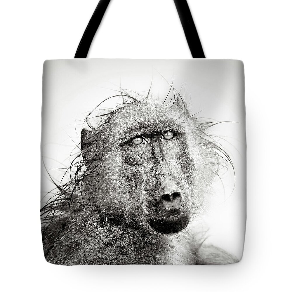 Baboon Tote Bag featuring the photograph Wet Baboon portrait by Johan Swanepoel