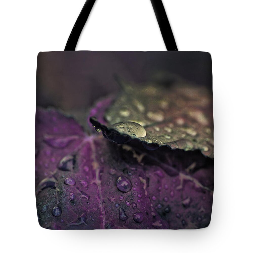 Painted Photo Tote Bag featuring the painting Wet Purple Leaves by Bonnie Bruno