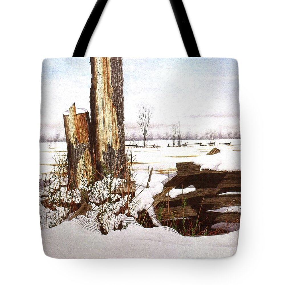 Snow Tote Bag featuring the painting Wet Snow by Conrad Mieschke