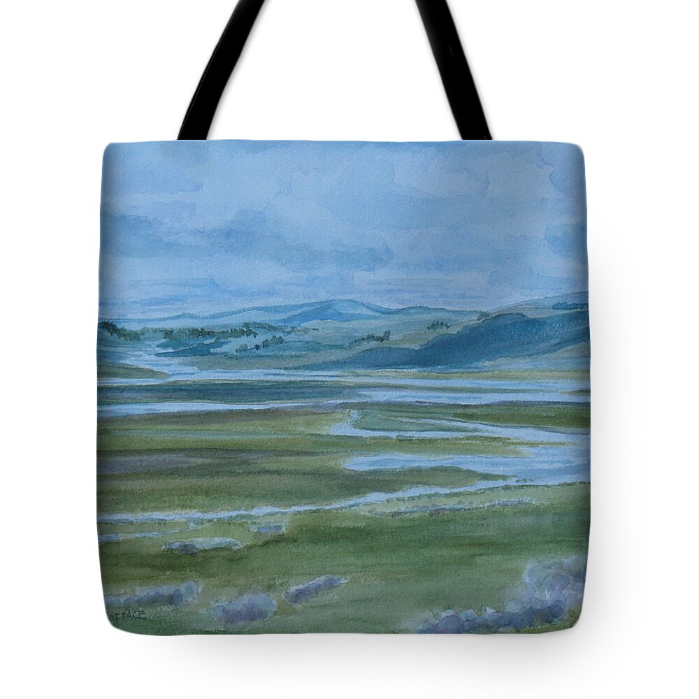 Watercolor Tote Bag featuring the painting Wet Summer in Big Sky Country by Jenny Armitage