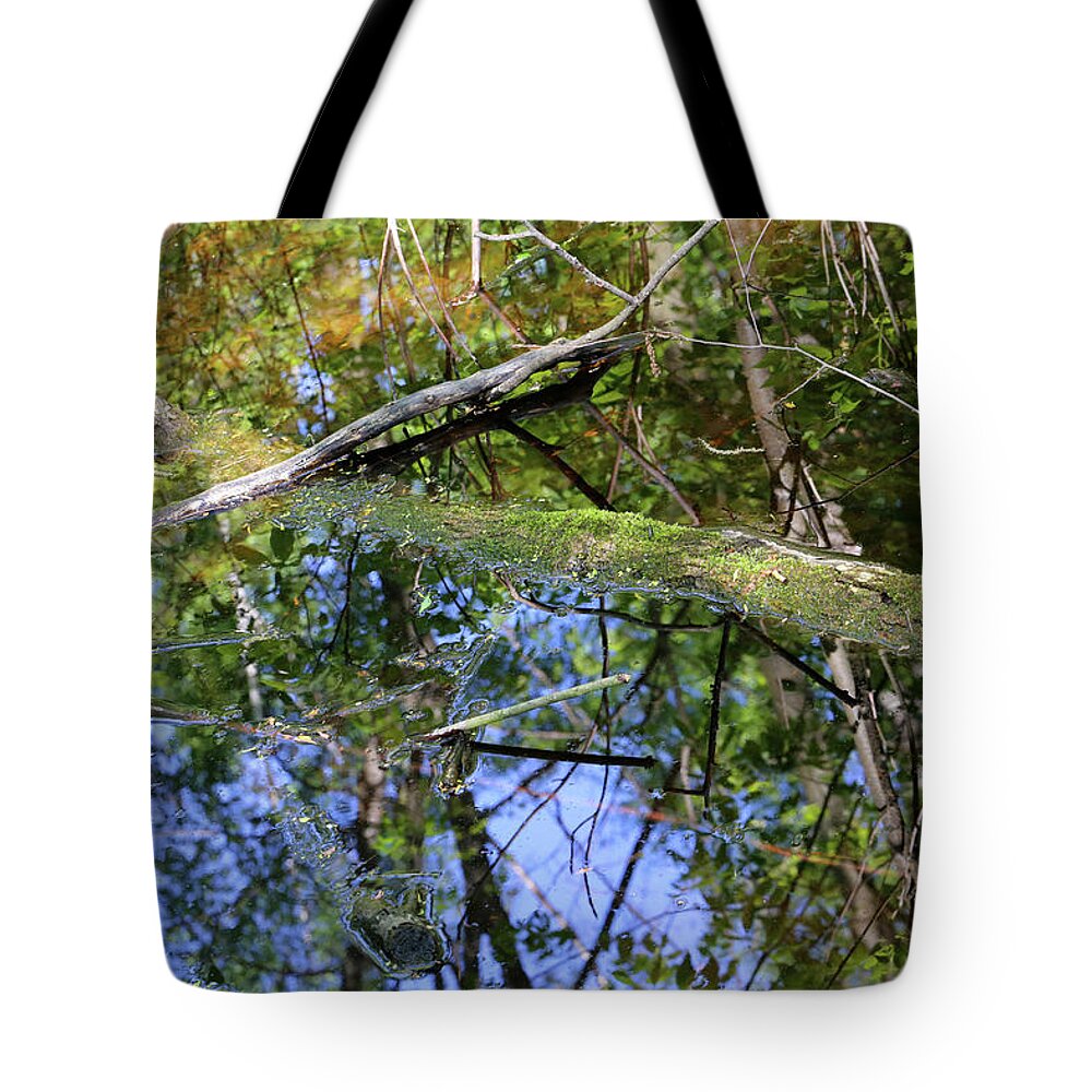 Wetlands Tote Bag featuring the photograph Wetland Colors 3 052318 by Mary Bedy