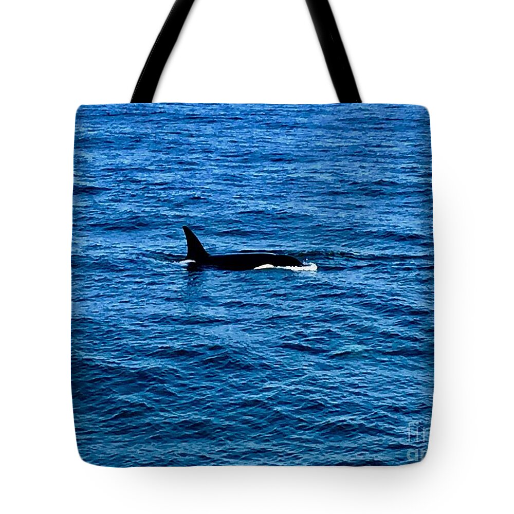 Whale Tote Bag featuring the photograph Whale by Dennis Richardson