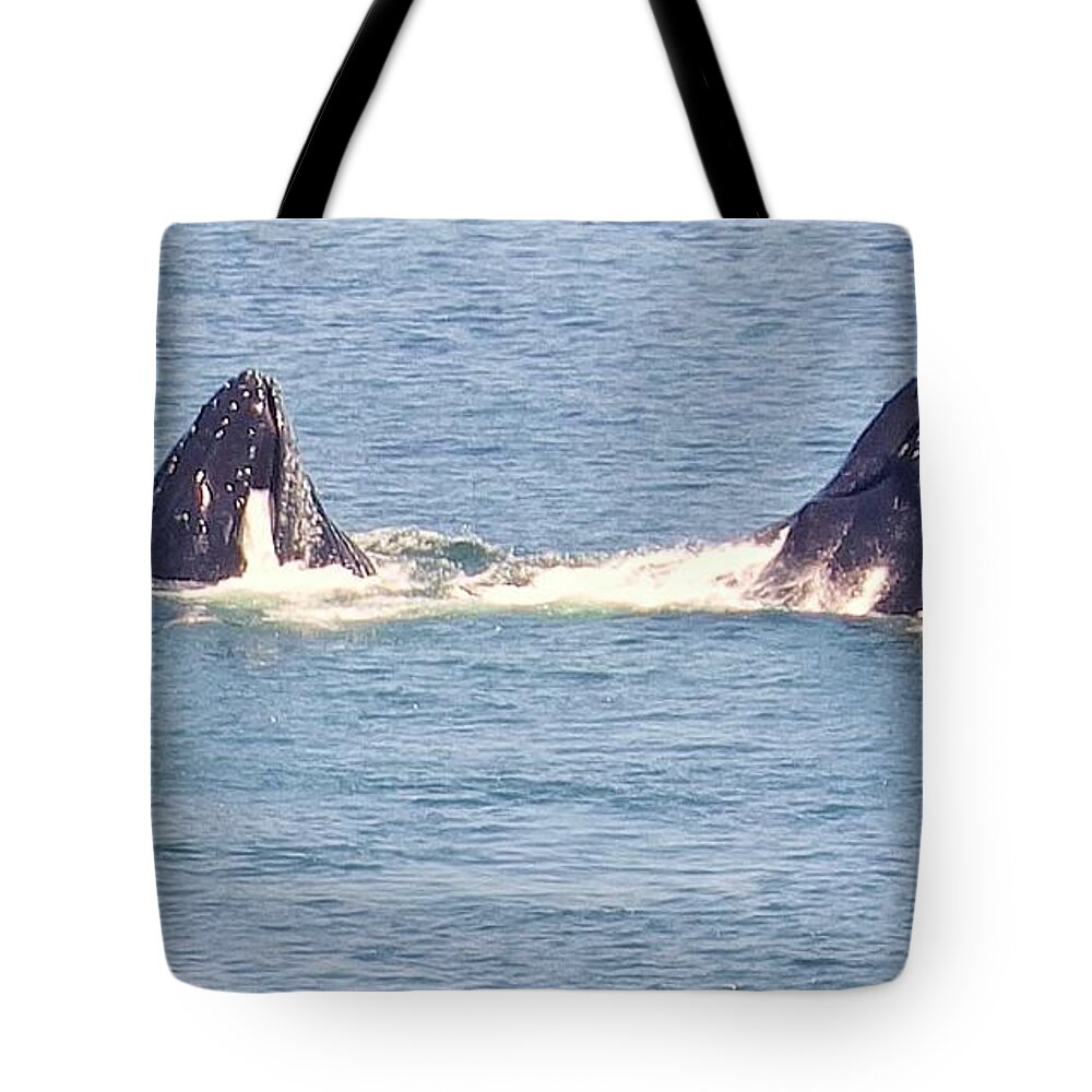 Avila Beach Tote Bag featuring the photograph Whales in Avila Beach CA by Jan Moore
