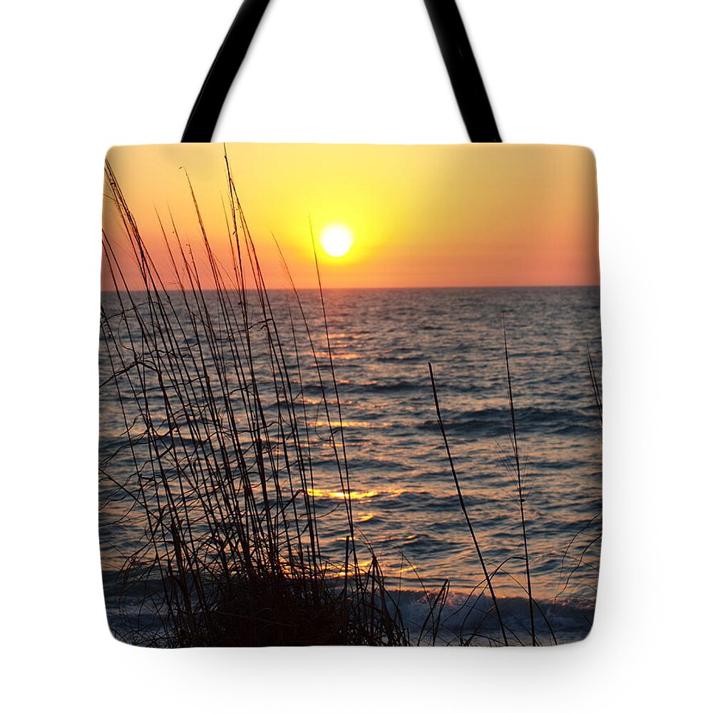  Tote Bag featuring the photograph What A Wonderful View by Robert Margetts