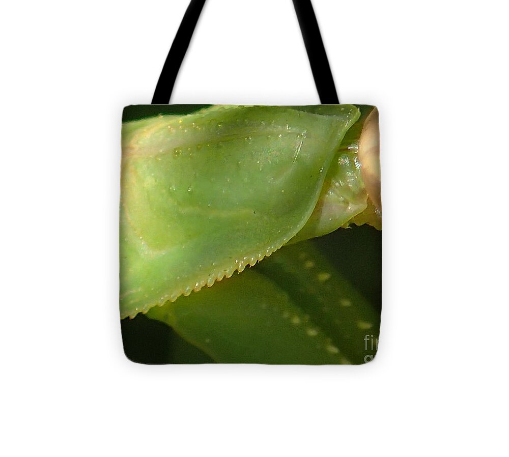 Nature Tote Bag featuring the photograph What Am I? #1 by Christina Verdgeline