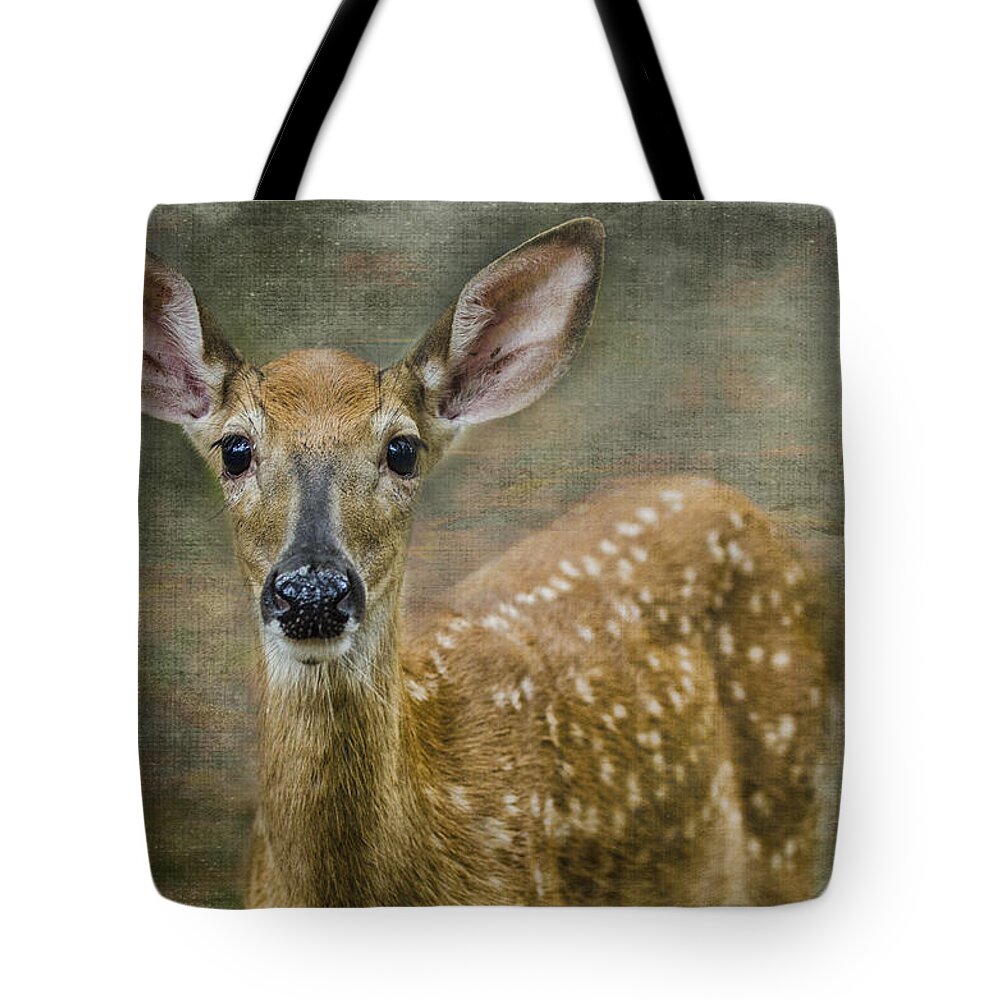 Fawn Tote Bag featuring the photograph What Big Ears You Have by Peg Runyan