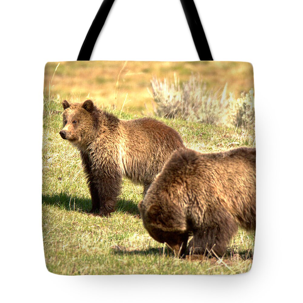 Grizzly Bears Tote Bag featuring the photograph What Did Junior Do Now by Adam Jewell