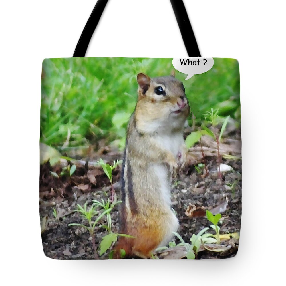 Chipmunk Tote Bag featuring the photograph What by Lizi Beard-Ward