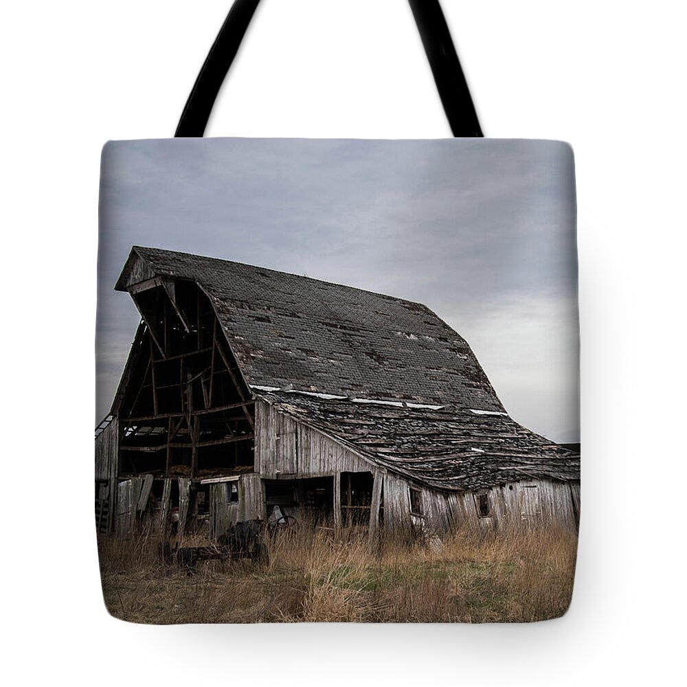  Tote Bag featuring the photograph What Once Was 2 by Wendy Carrington