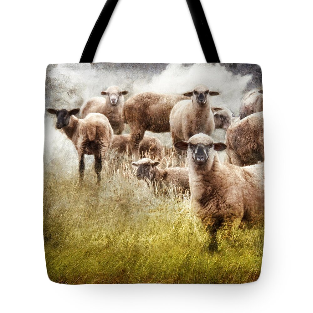 Sheep Tote Bag featuring the photograph What You Lookin' At? by Rhonda Strickland