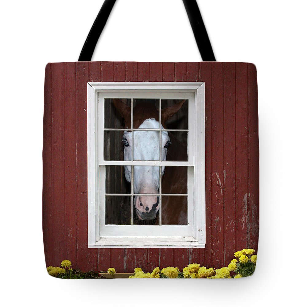 Horse Tote Bag featuring the photograph What's Out There? by Michele A Loftus
