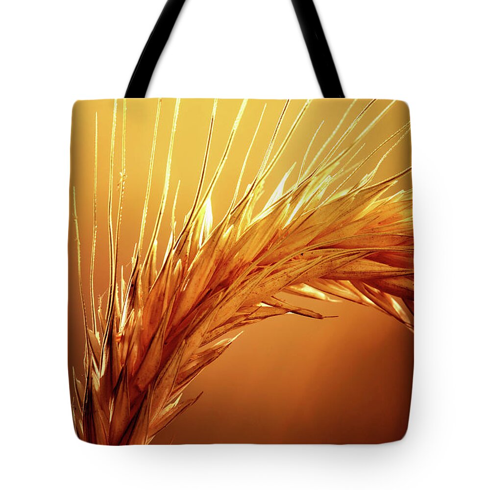 Wheat Tote Bag featuring the photograph Wheat Close-up by Johan Swanepoel