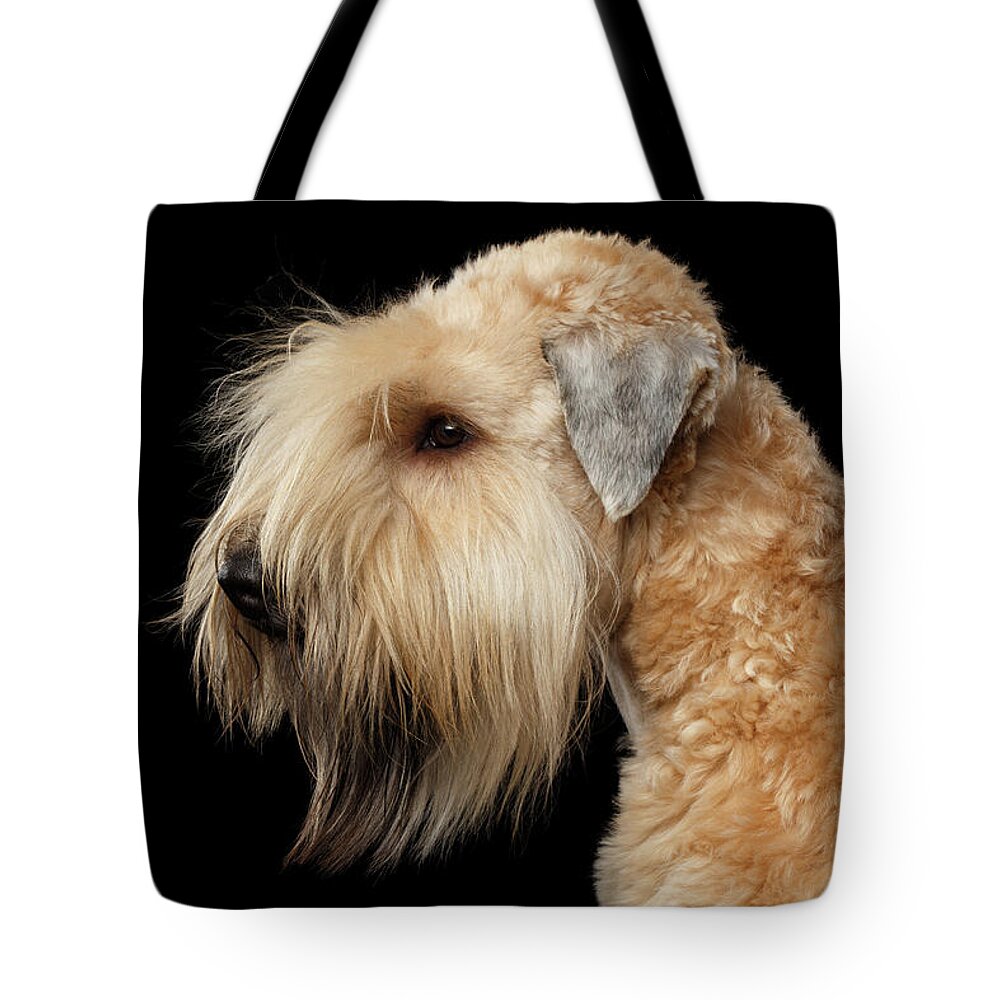 Wheaten Tote Bag featuring the photograph Wheaten terrier by Sergey Taran
