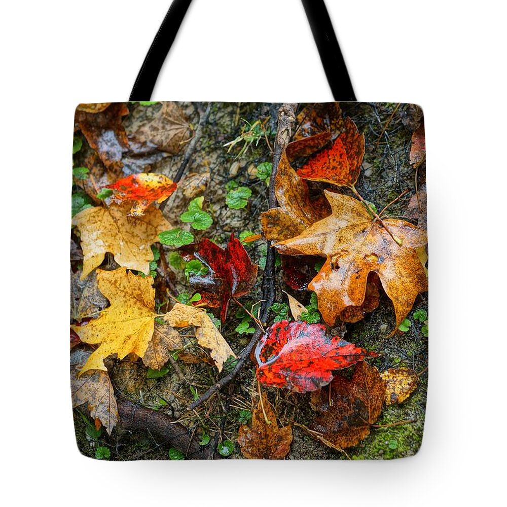  Tote Bag featuring the photograph When November Comes 6 by Rodney Lee Williams