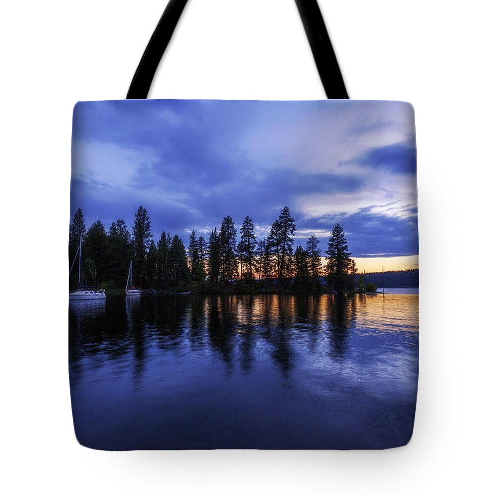 Where Are The Ducks Tote Bag featuring the photograph Where are the Ducks? by Chad Dutson