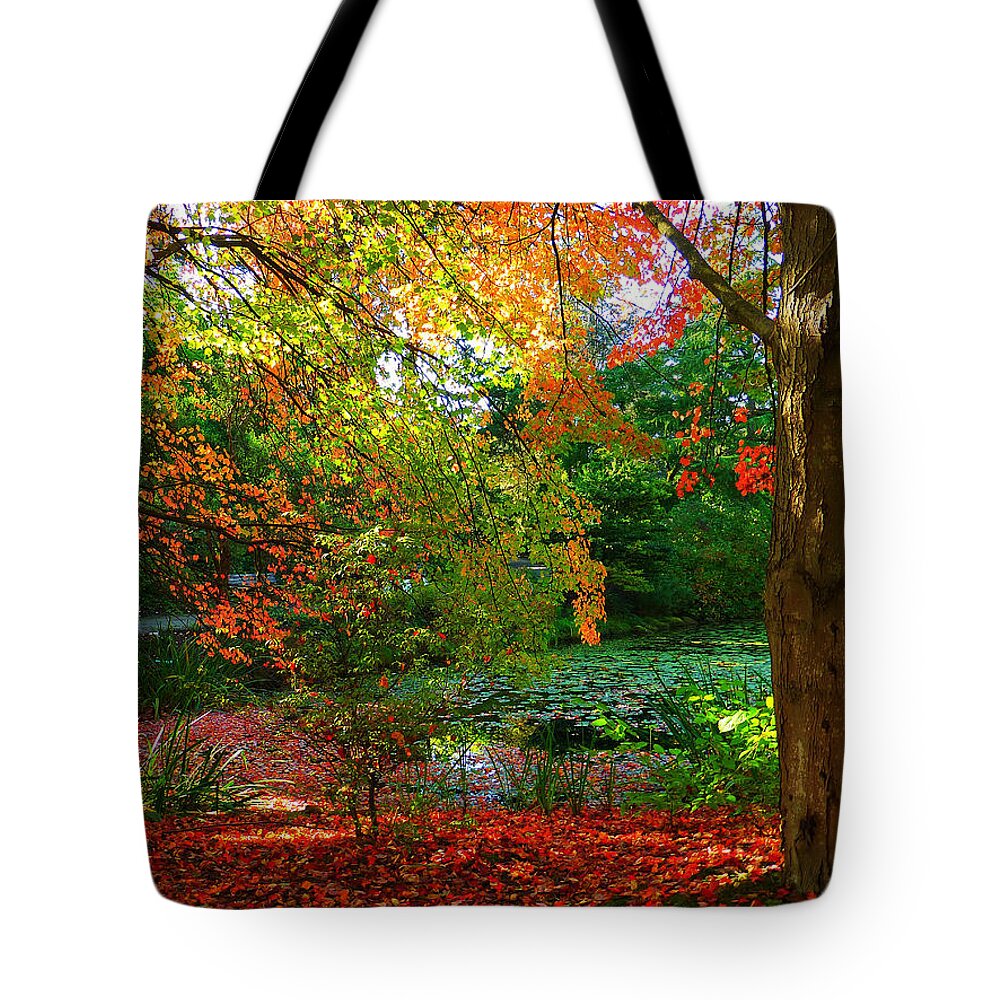 Autumn Tote Bag featuring the photograph Where Autumn Lingers by Connie Handscomb