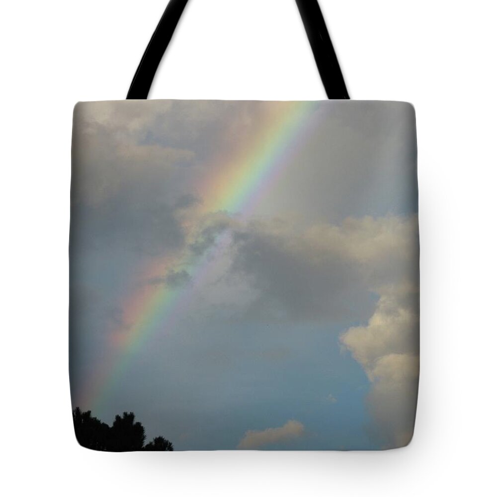 Rainbow Tote Bag featuring the photograph Where the Creek Comes From by Judith Lauter