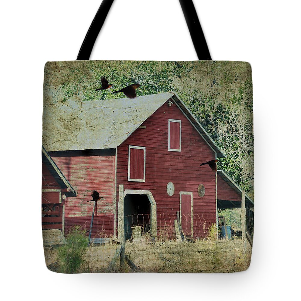 Architectural Tote Bag featuring the photograph Where We Land by Jan Amiss Photography