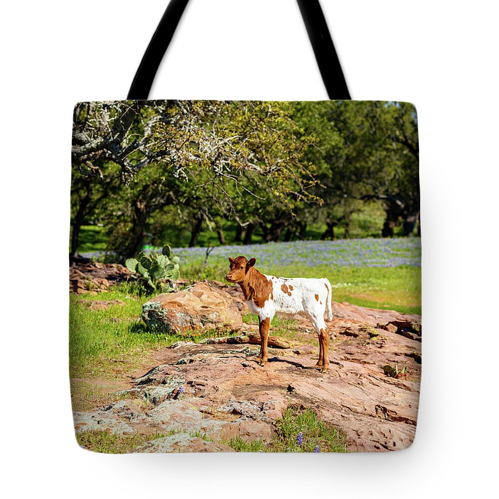 African Breed Tote Bag featuring the photograph Where's My Mother? by Raul Rodriguez