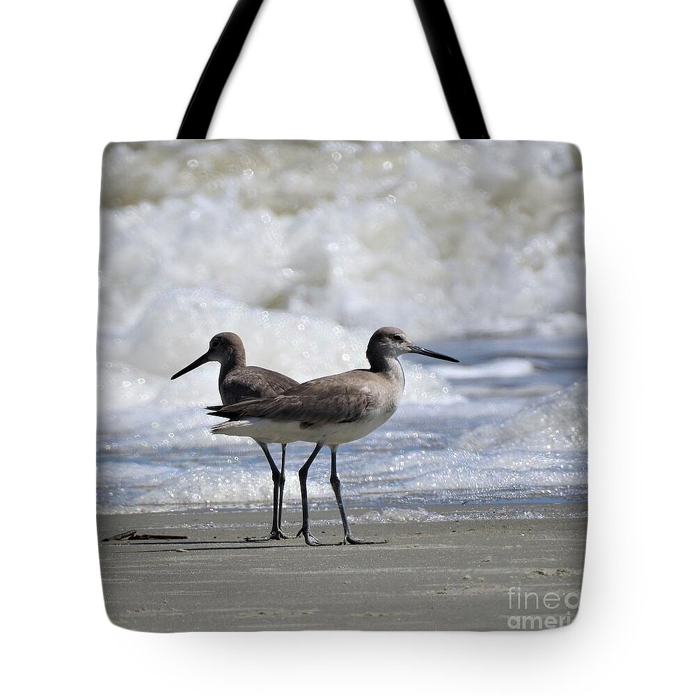 Coastal Tote Bag featuring the photograph Which Way by Jan Gelders