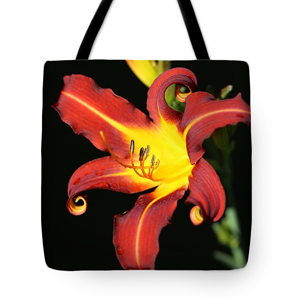 Daylily Curl Tote Bag featuring the photograph Whimsical Daylily by Tammy Pool