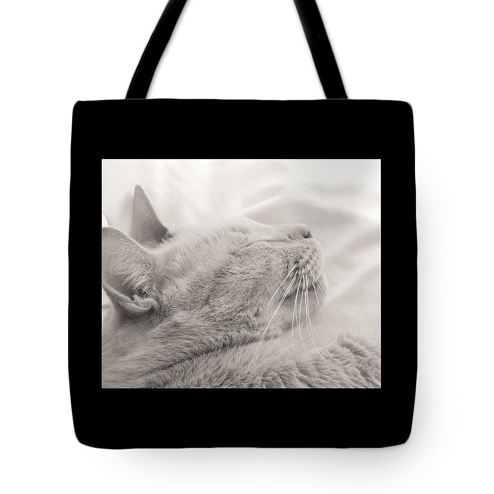 Whiskers Tote Bag featuring the photograph Whisker Portrait by Jan Gelders