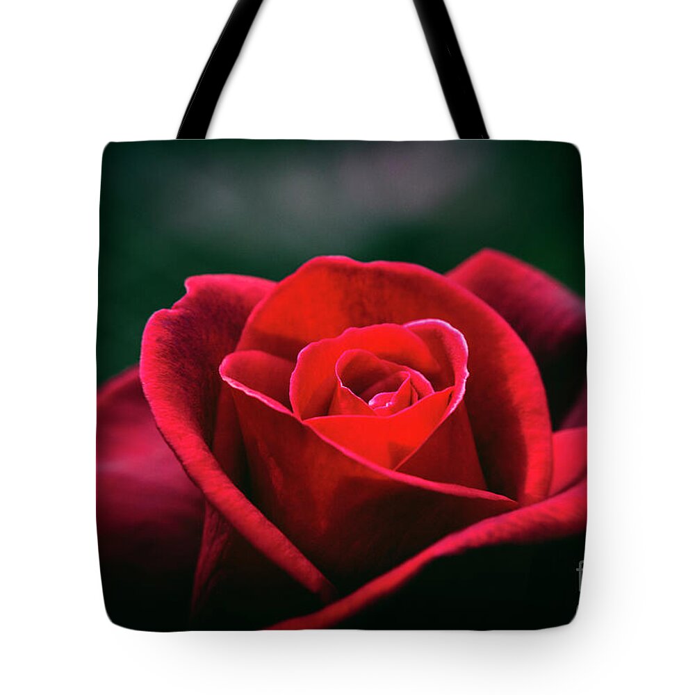 Rose Tote Bag featuring the photograph Whispers of Passion by Linda Lees