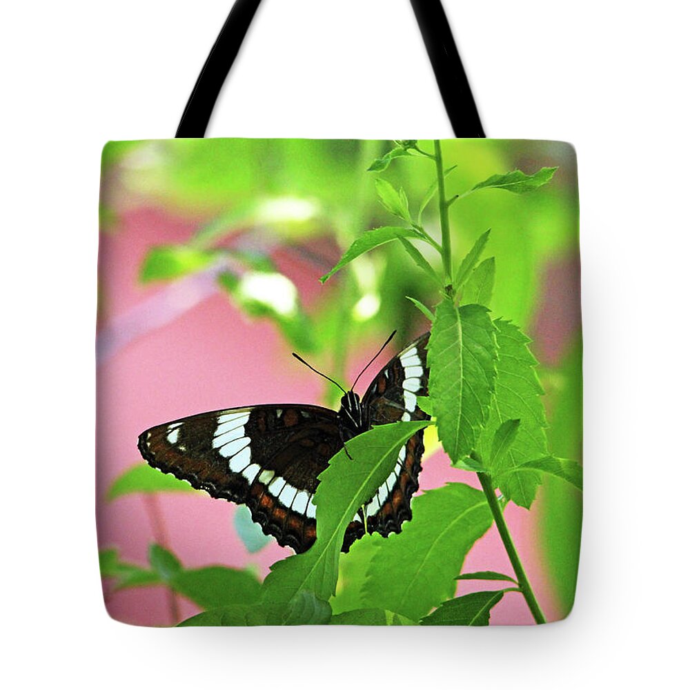 Butterfly Tote Bag featuring the photograph White Admiral by Debbie Oppermann