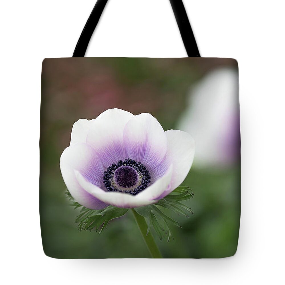 Purple Tote Bag featuring the photograph White and Purple by Rebecca Cozart