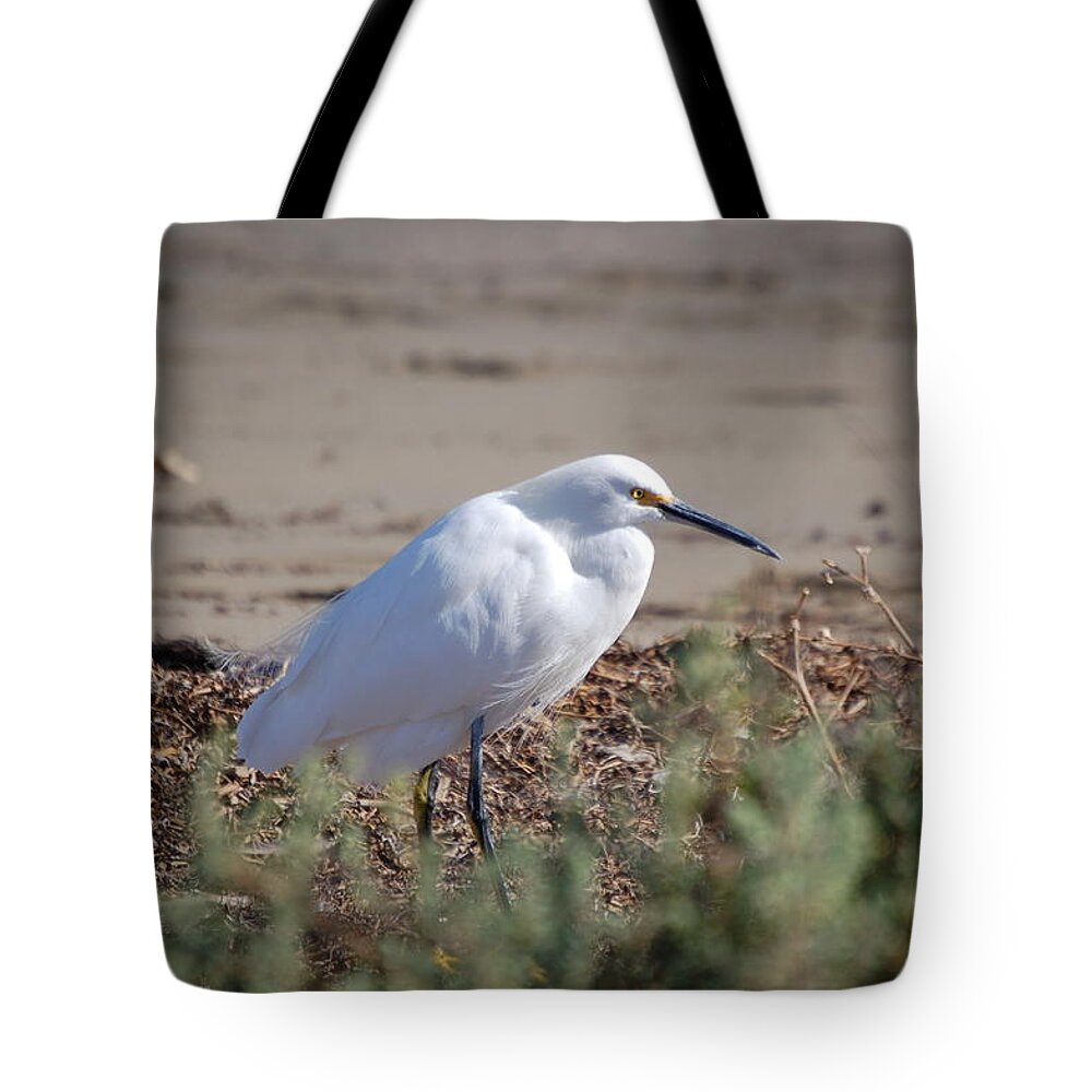 Snowy Egret Tote Bag featuring the photograph White Bird resting by Maria Aduke Alabi
