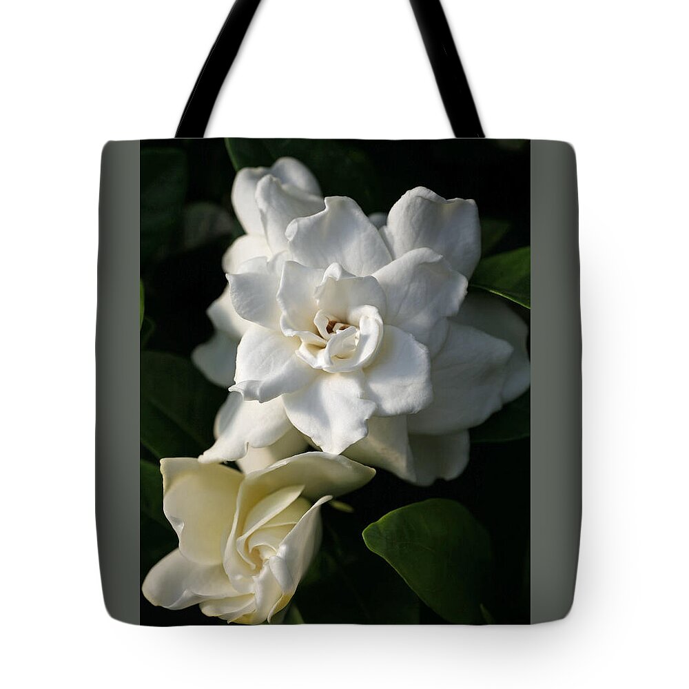 Gardenia Tote Bag featuring the photograph White Bunny Gardenia by Tammy Pool