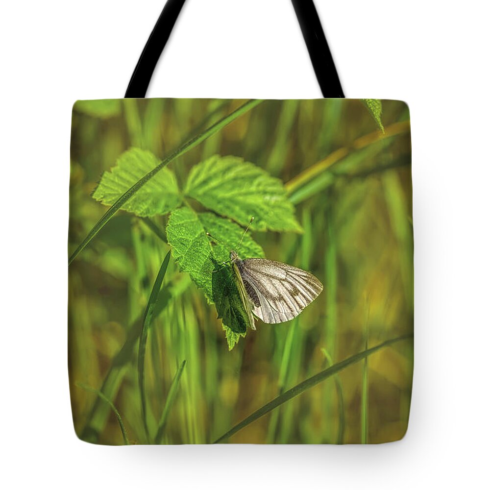Butterfly Tote Bag featuring the photograph White butterfly May 2016. by Leif Sohlman
