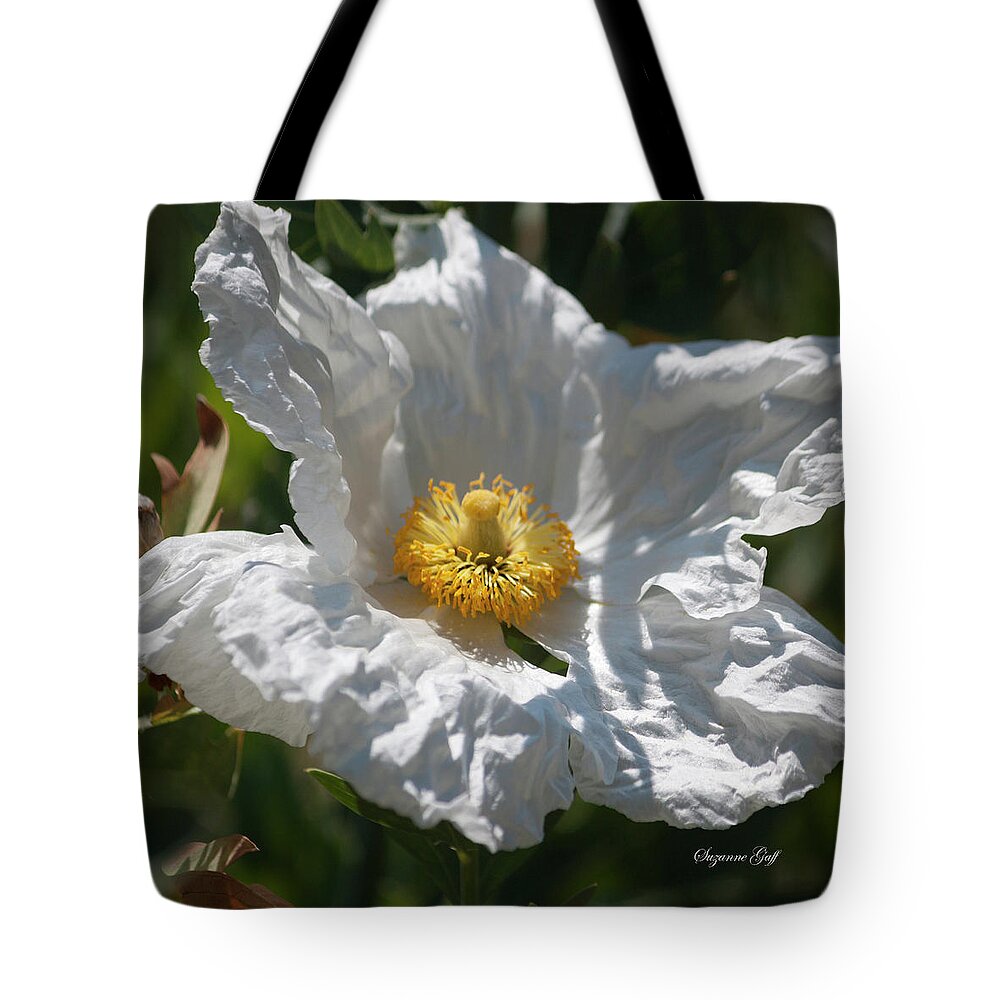 Photograph Tote Bag featuring the photograph White Cactus Flower by Suzanne Gaff
