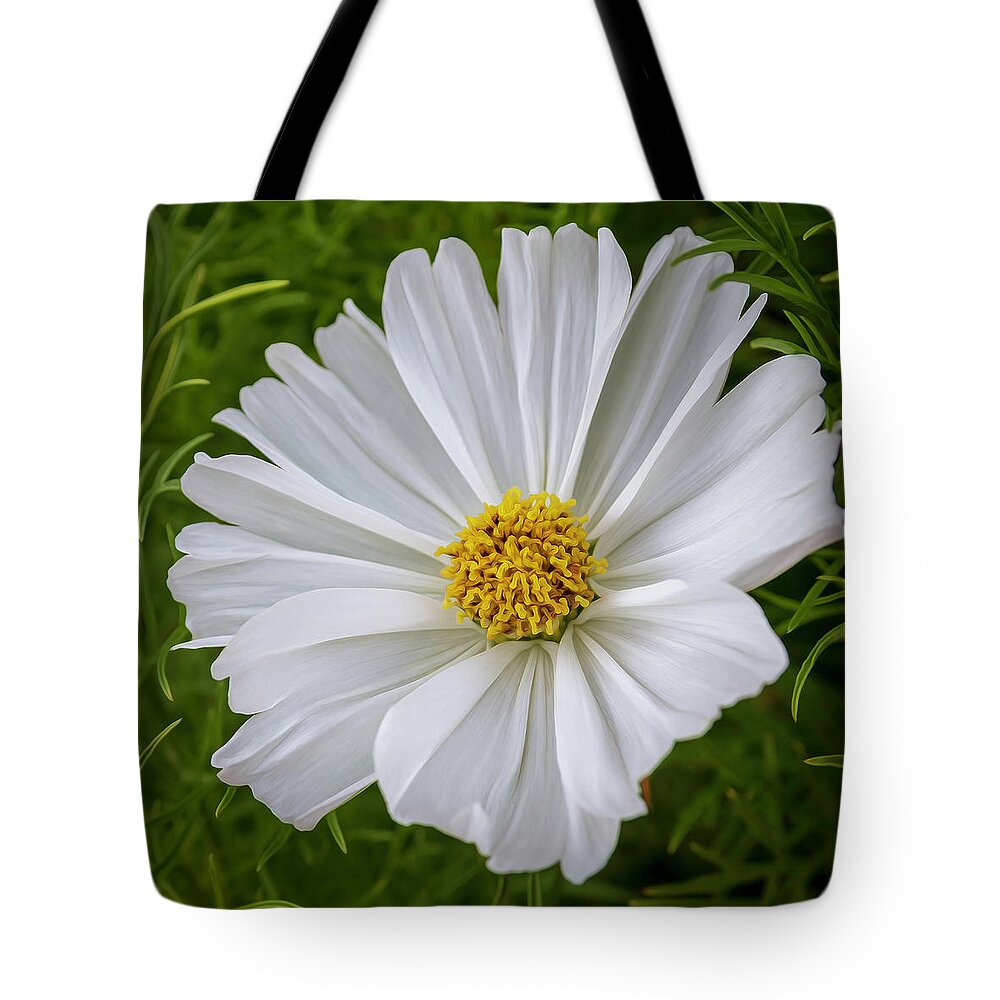 Flowers Tote Bag featuring the photograph White Cosmos by Catherine Avilez