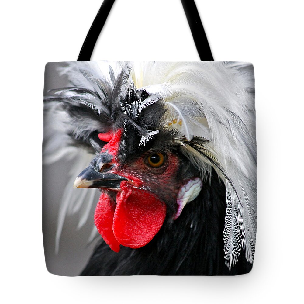 Feather Tote Bag featuring the photograph White Crested Black Polish Cockerel by Karon Melillo DeVega