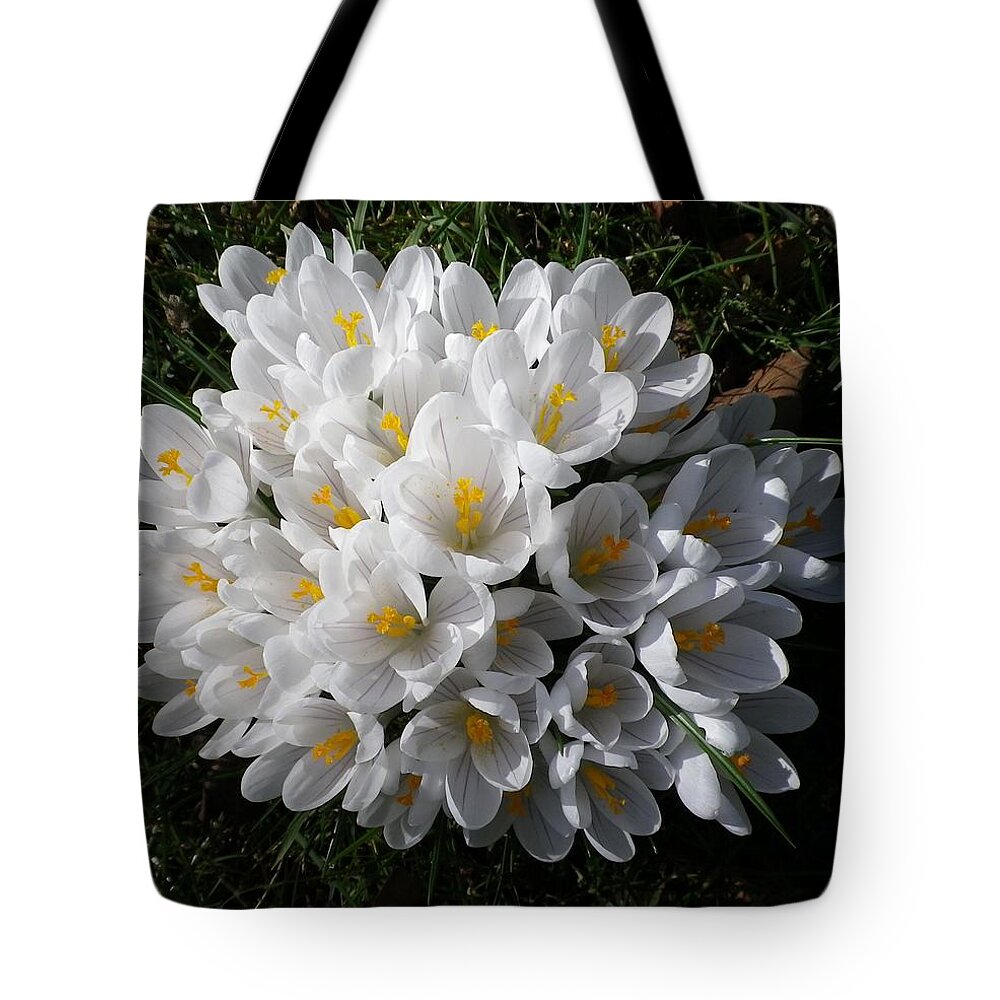 Croci Tote Bag featuring the photograph White Crocuses by Richard Brookes