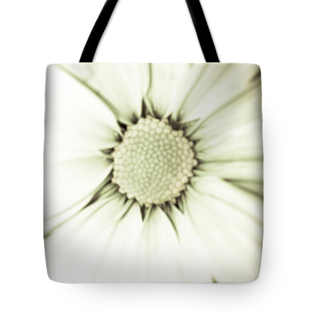 Daisy Tote Bag featuring the photograph White Daisy Beauty by Marian Lonzetta