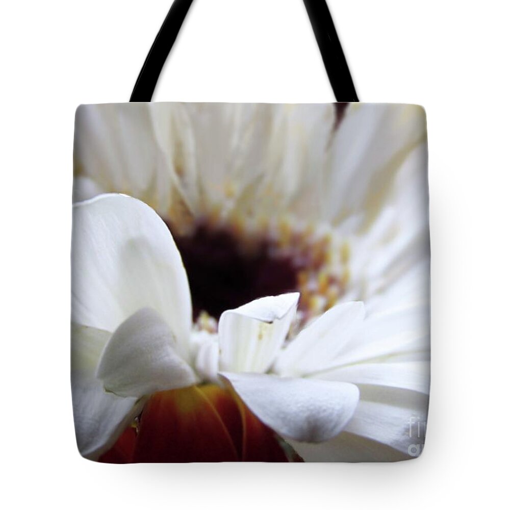Daisy Tote Bag featuring the photograph White Daisy by Kim Tran