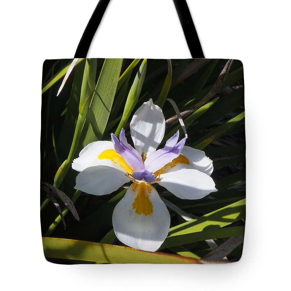 Botanical Tote Bag featuring the photograph White Daylily 3 by Richard Thomas